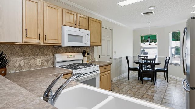 17617 SE 80TH ALTAMAHA COURT, The Villages, FL 32162