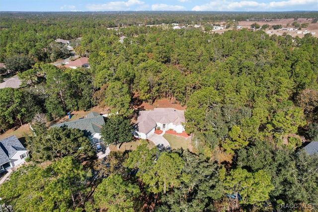 12 Colubrina Court, Homosassa, FL 34446