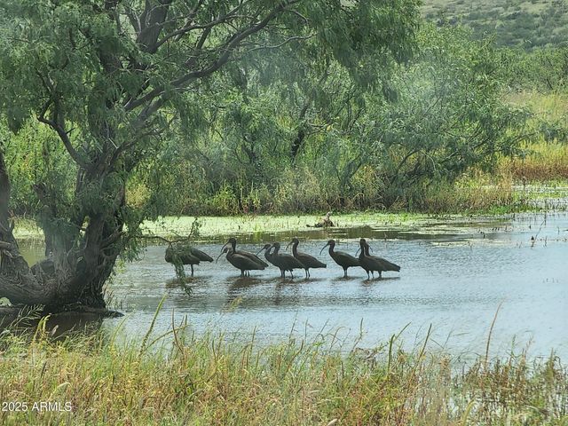 10632 N Double U Ranch Road -, Tombstone, AZ 85638
