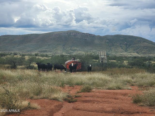 10632 N Double U Ranch Road -, Tombstone, AZ 85638