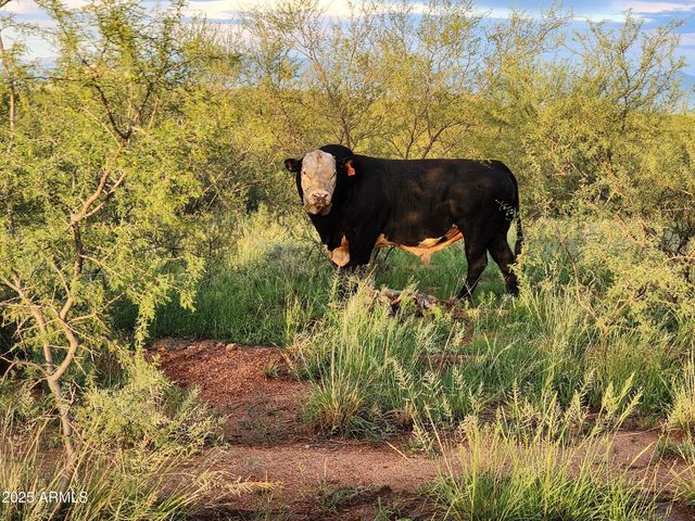 10632 N Double U Ranch Road -, Tombstone, AZ 85638