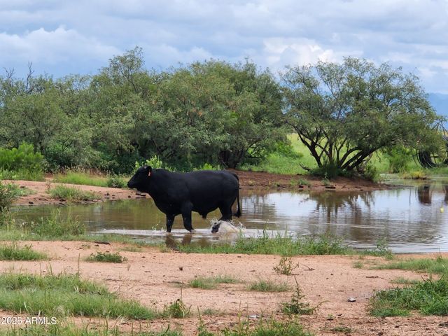 10632 N Double U Ranch Road -, Tombstone, AZ 85638