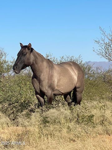 10632 N Double U Ranch Road -, Tombstone, AZ 85638