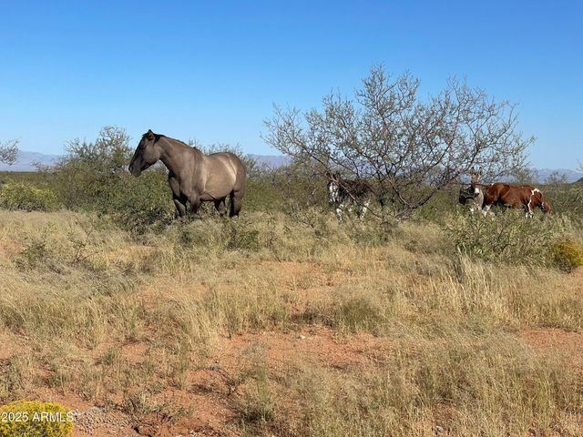 10632 N Double U Ranch Road -, Tombstone, AZ 85638