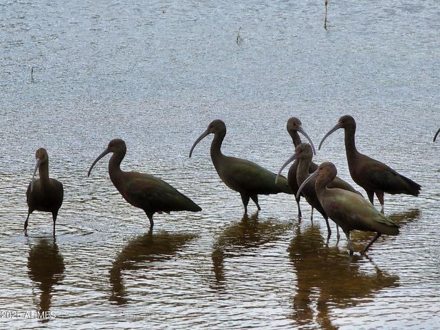 10632 N Double U Ranch Road -, Tombstone, AZ 85638