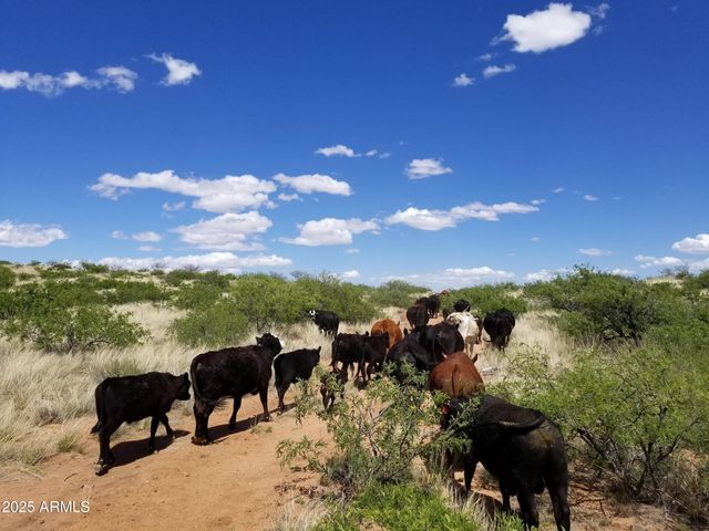 10632 N Double U Ranch Road -, Tombstone, AZ 85638