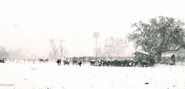 10632 N Double U Ranch Road -, Tombstone, AZ 85638