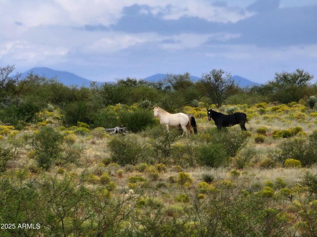 10632 N Double U Ranch Road -, Tombstone, AZ 85638