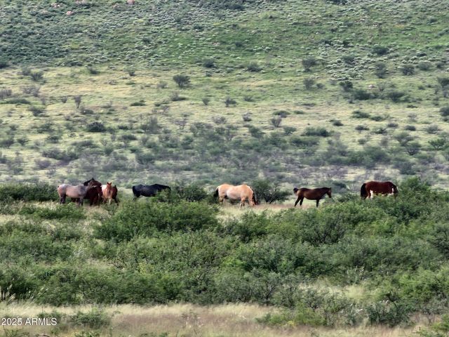 10632 N Double U Ranch Road -, Tombstone, AZ 85638