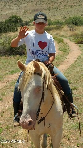 10632 N Double U Ranch Road -, Tombstone, AZ 85638