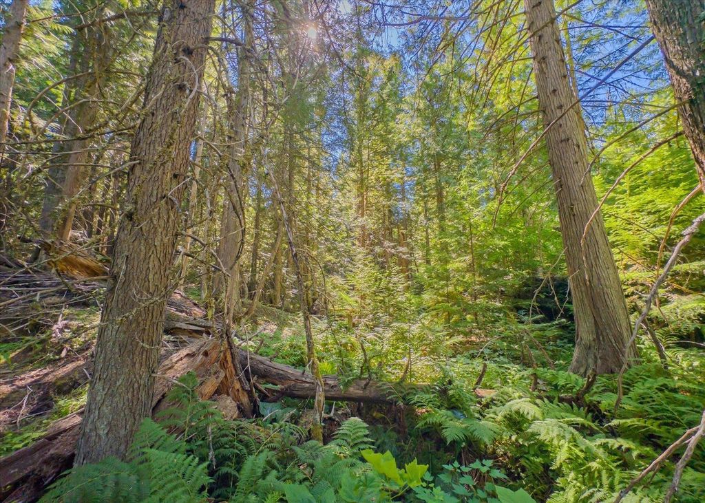 21620 E Lakeview Rd, Otis Orchards, WA 99027 photo 11