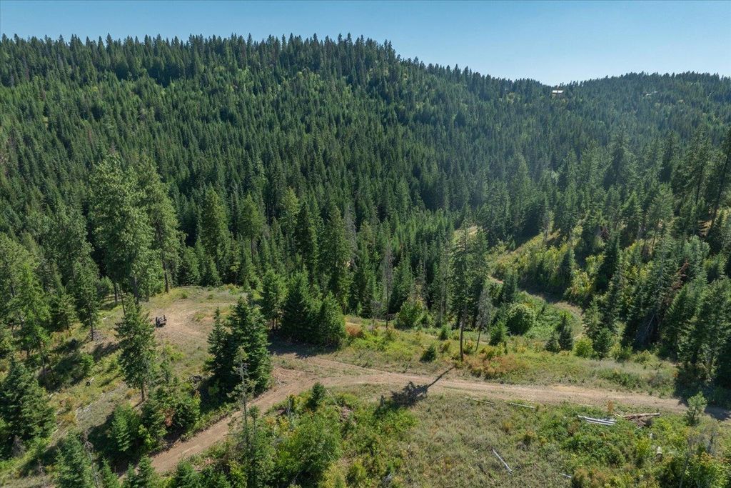 21620 E Lakeview Rd, Otis Orchards, WA 99027 photo 16