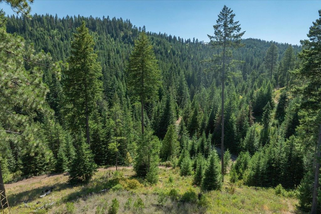 21620 E Lakeview Rd, Otis Orchards, WA 99027 photo 17