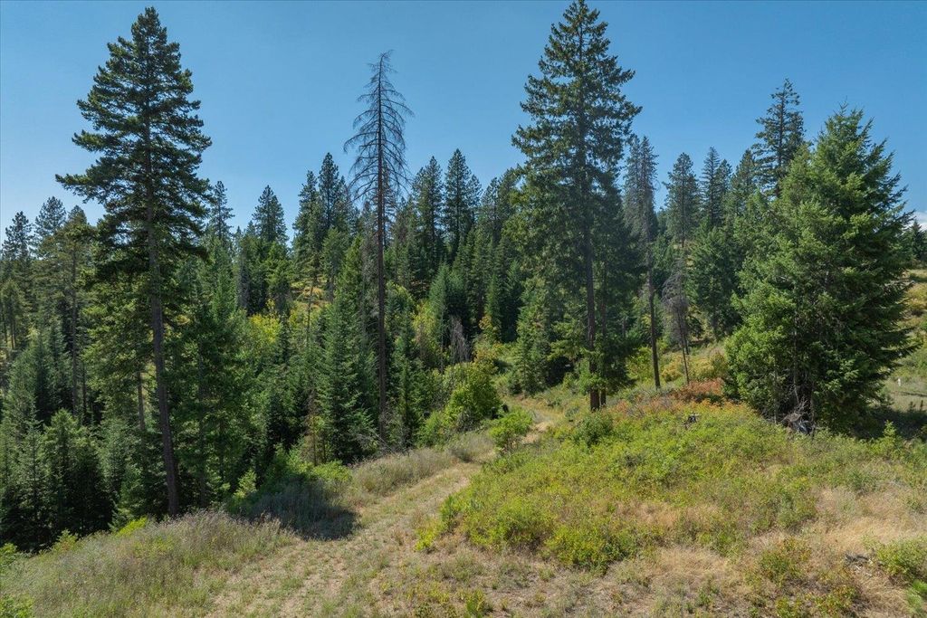 21620 E Lakeview Rd, Otis Orchards, WA 99027 photo 20