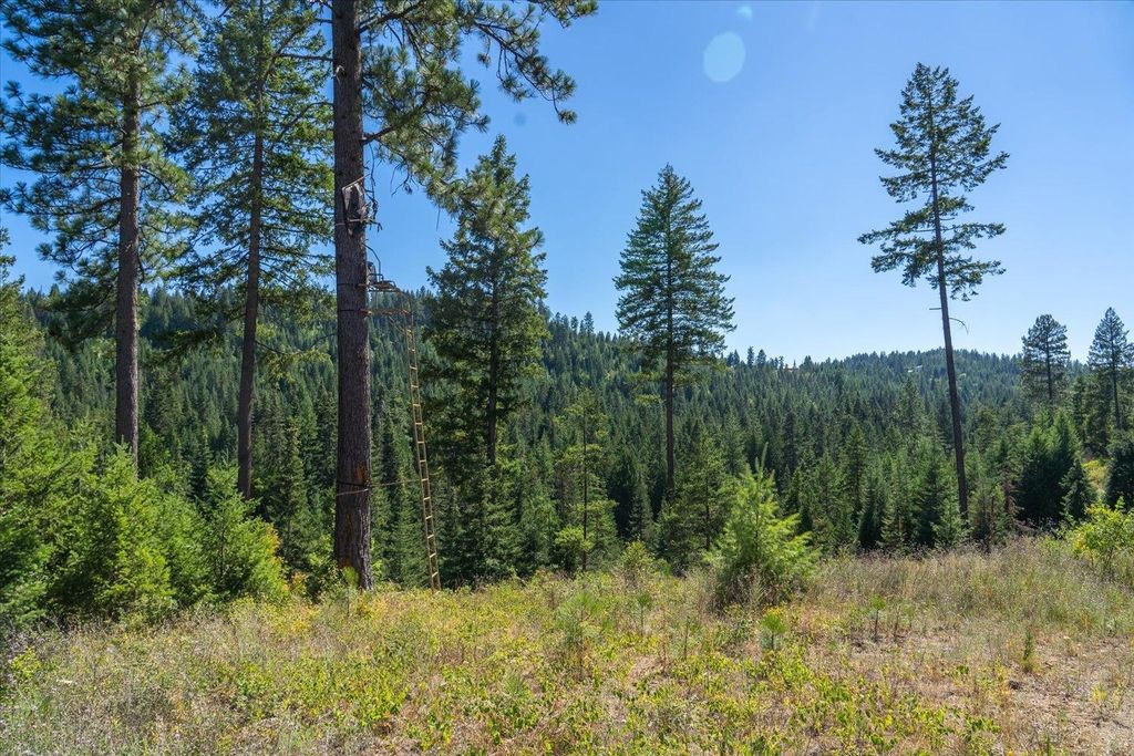 21620 E Lakeview Rd, Otis Orchards, WA 99027 photo 3