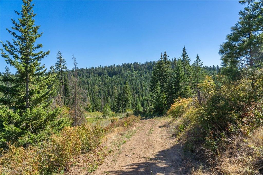 21620 E Lakeview Rd, Otis Orchards, WA 99027 photo 21