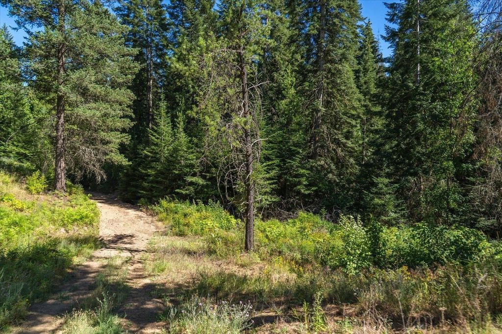 21620 E Lakeview Rd, Otis Orchards, WA 99027 photo 30