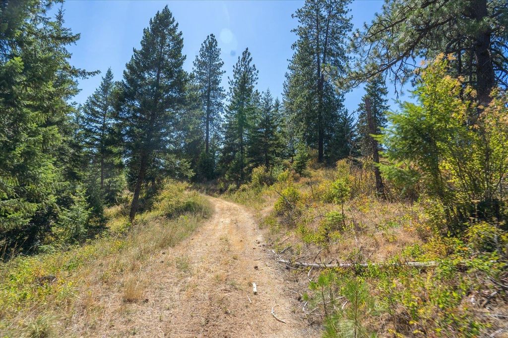 21620 E Lakeview Rd, Otis Orchards, WA 99027 photo 4