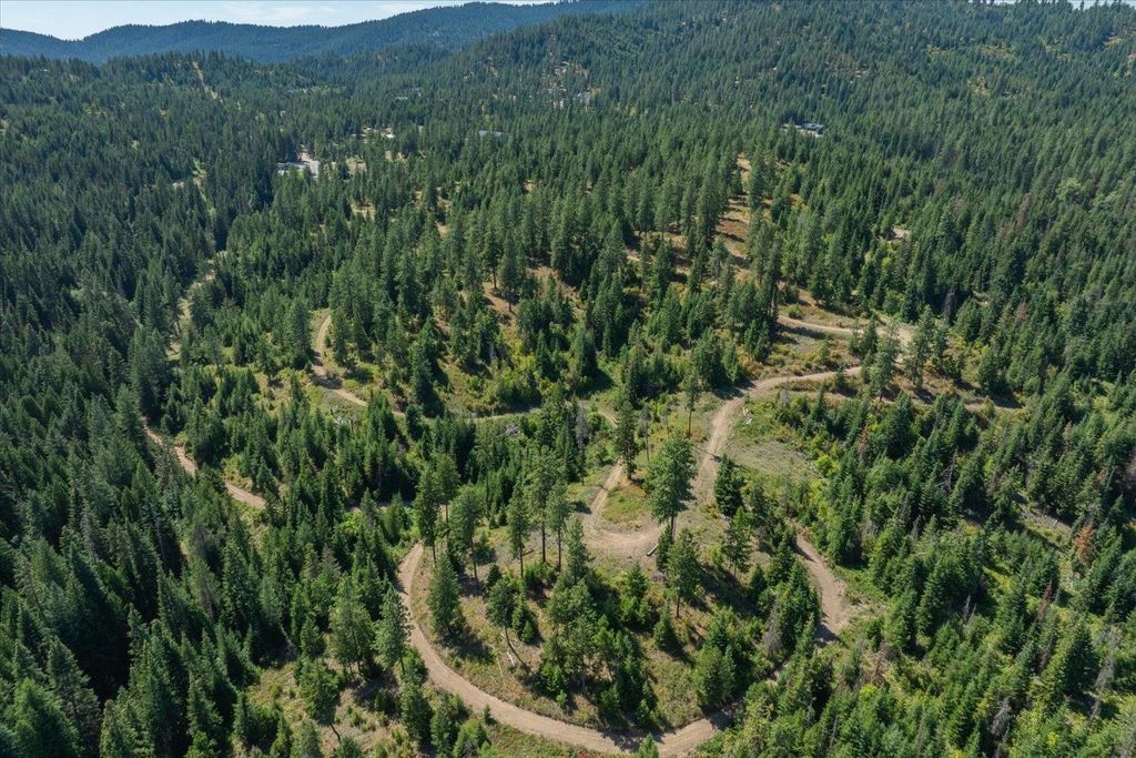 21620 E Lakeview Rd, Otis Orchards, WA 99027 photo 33