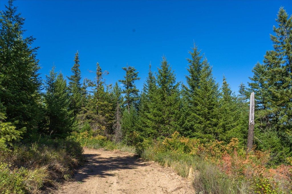 21620 E Lakeview Rd, Otis Orchards, WA 99027 photo 34