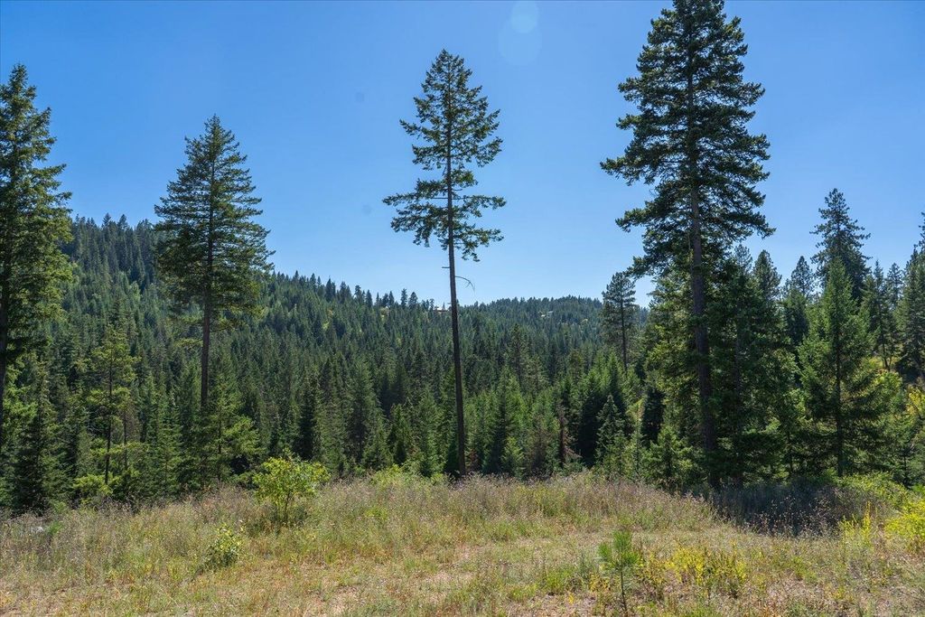 21620 E Lakeview Rd, Otis Orchards, WA 99027 photo 35