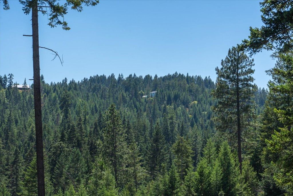 21620 E Lakeview Rd, Otis Orchards, WA 99027 photo 36