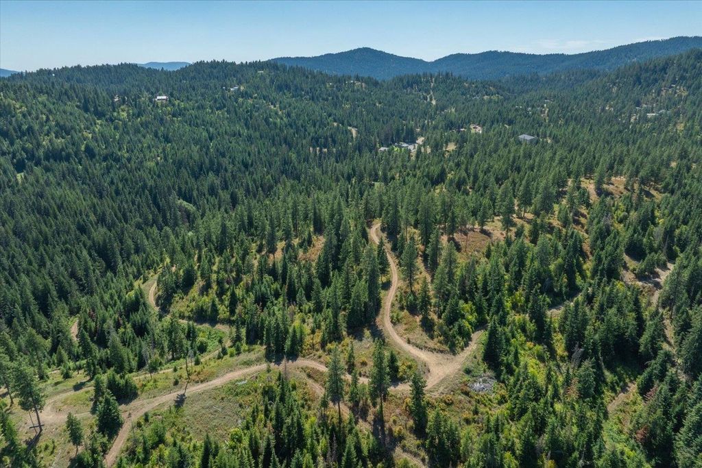 21620 E Lakeview Rd, Otis Orchards, WA 99027 photo 37