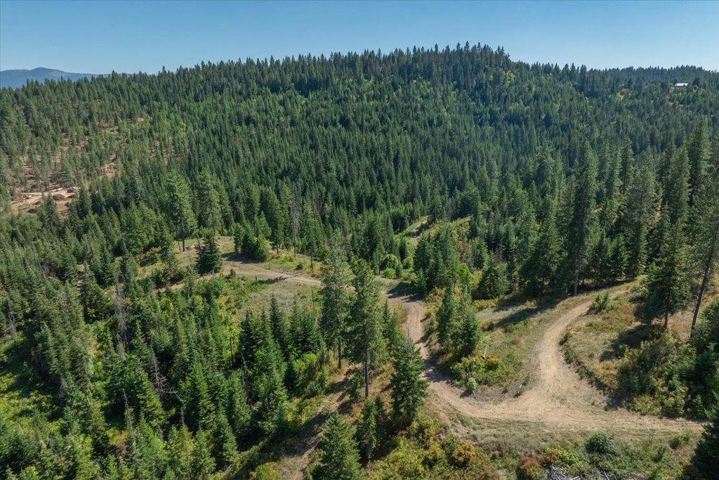 21620 E Lakeview Rd, Otis Orchards, WA 99027 photo 40