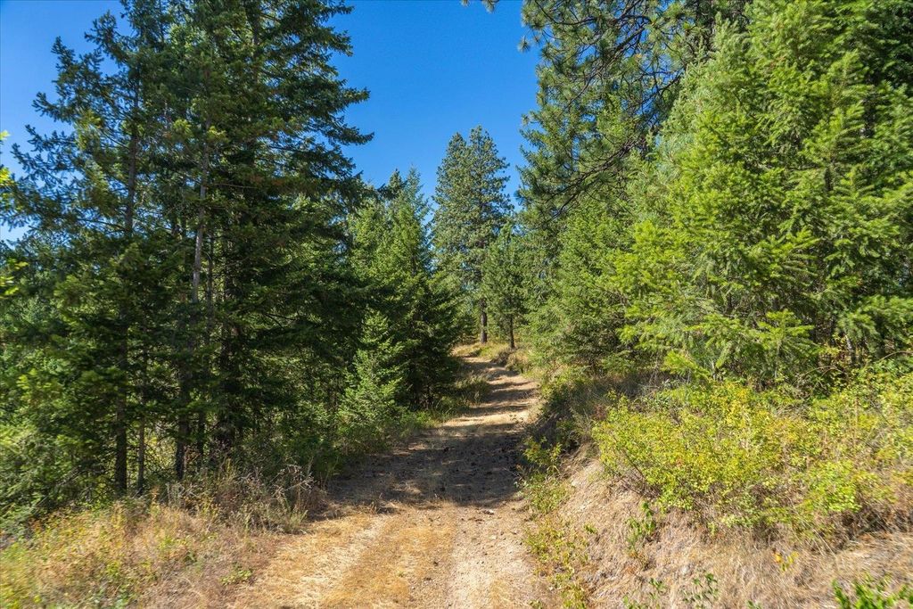 21620 E Lakeview Rd, Otis Orchards, WA 99027 photo 5