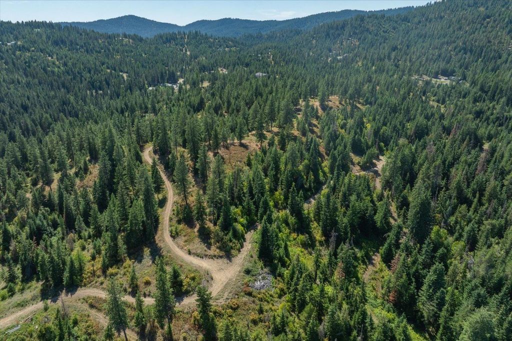 21620 E Lakeview Rd, Otis Orchards, WA 99027 photo 41