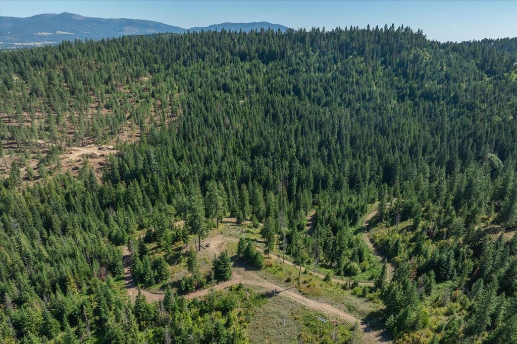 21620 E Lakeview Rd, Otis Orchards, WA 99027 photo 42