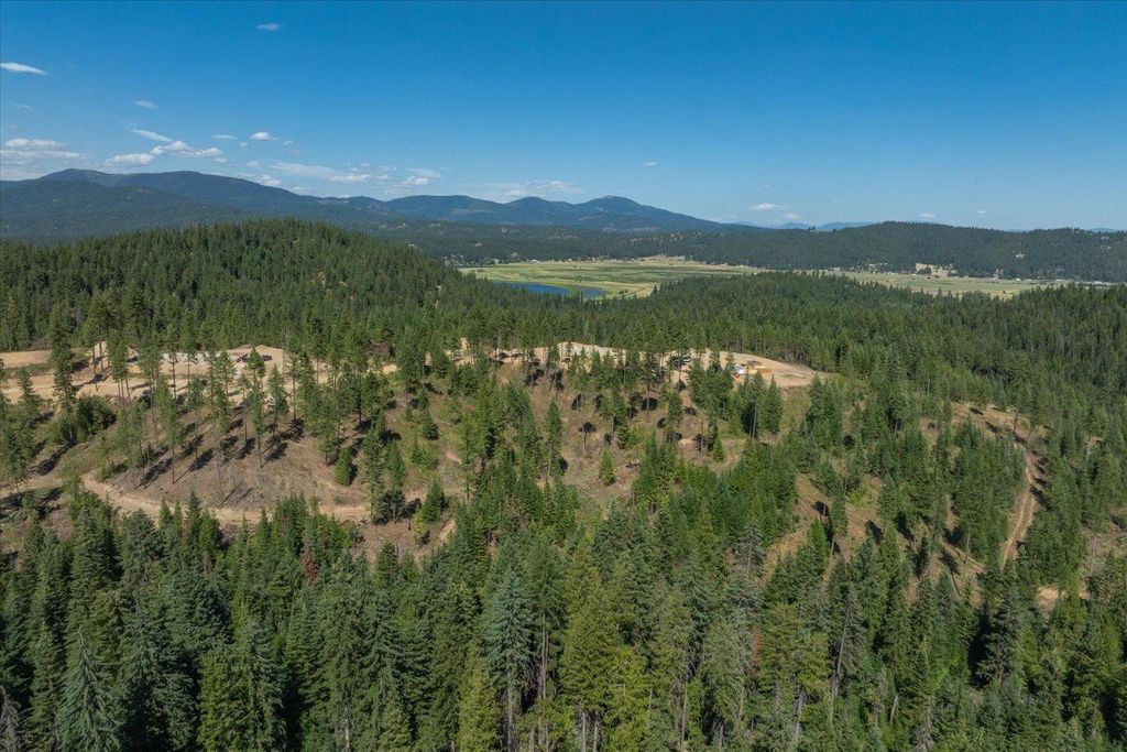 21620 E Lakeview Rd, Otis Orchards, WA 99027 photo 44