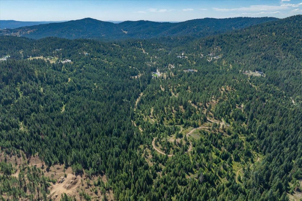 21620 E Lakeview Rd, Otis Orchards, WA 99027 photo 45