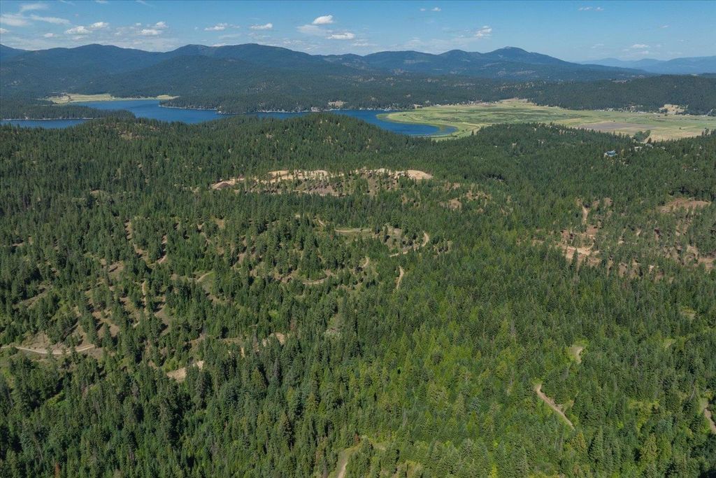 21620 E Lakeview Rd, Otis Orchards, WA 99027 photo 47