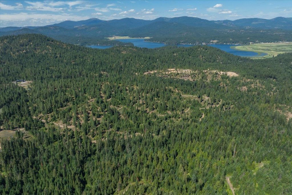 21620 E Lakeview Rd, Otis Orchards, WA 99027 photo 48