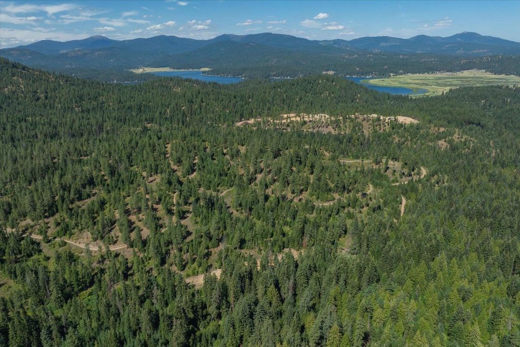 21620 E Lakeview Rd, Otis Orchards, WA 99027 photo 49