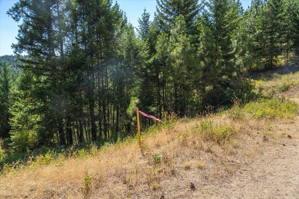 21620 E Lakeview Rd, Otis Orchards, WA 99027 photo 6