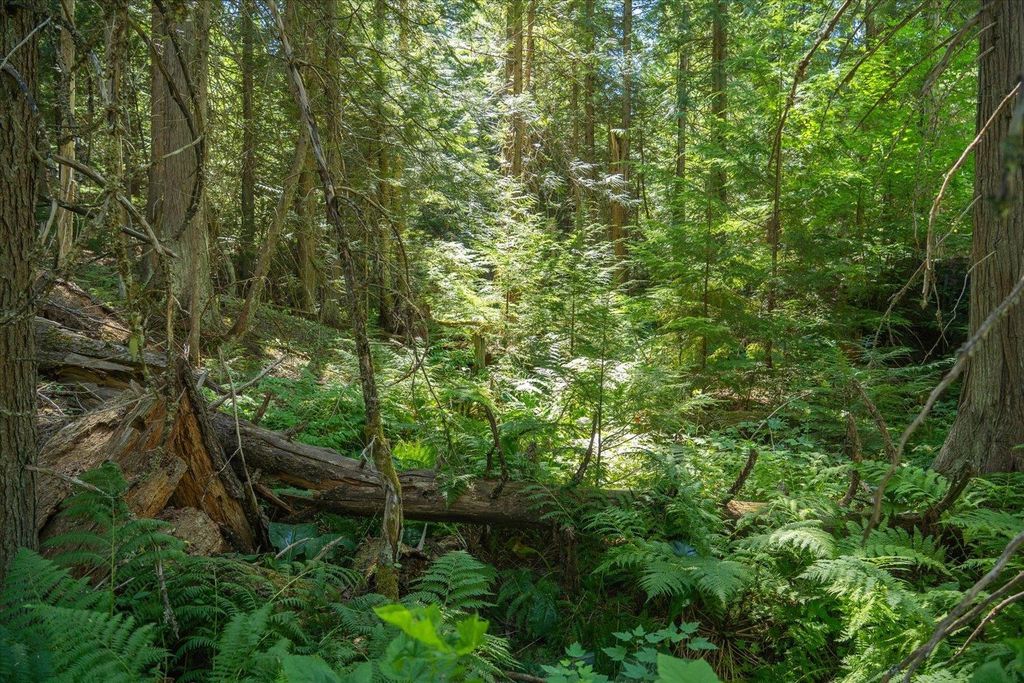 21620 E Lakeview Rd, Otis Orchards, WA 99027 photo 8