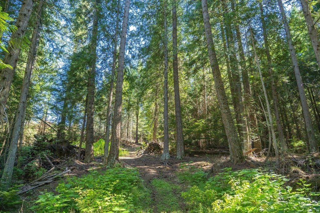 21620 E Lakeview Rd, Otis Orchards, WA 99027 photo 9