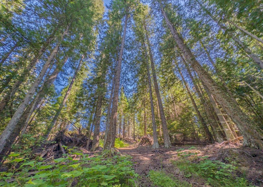 21620 E Lakeview Rd, Otis Orchards, WA 99027 photo 10