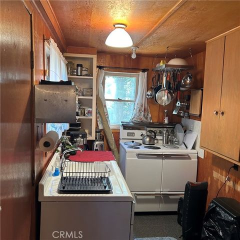 119 Barton Flats Trail, Angelus Oaks, CA 92305