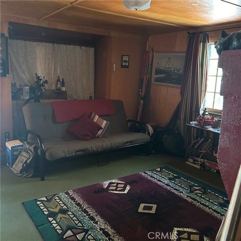 119 Barton Flats Trail, Angelus Oaks, CA 92305