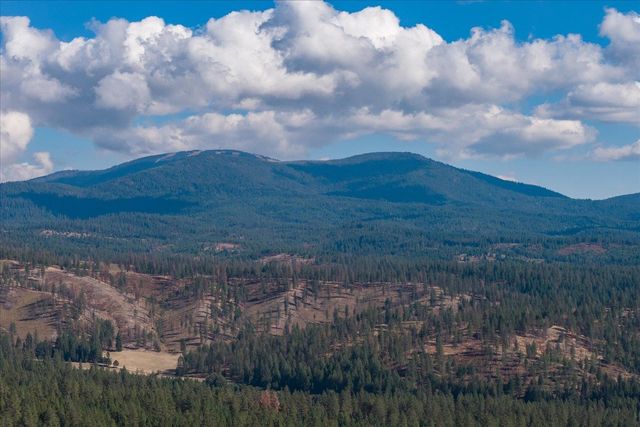 32305 N Elk Chattaroy Rd, Chattaroy, WA 99003