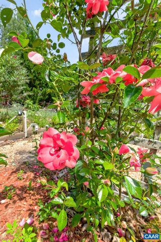 3219 S SPOTSWOOD TRL, Louisa, VA 23093