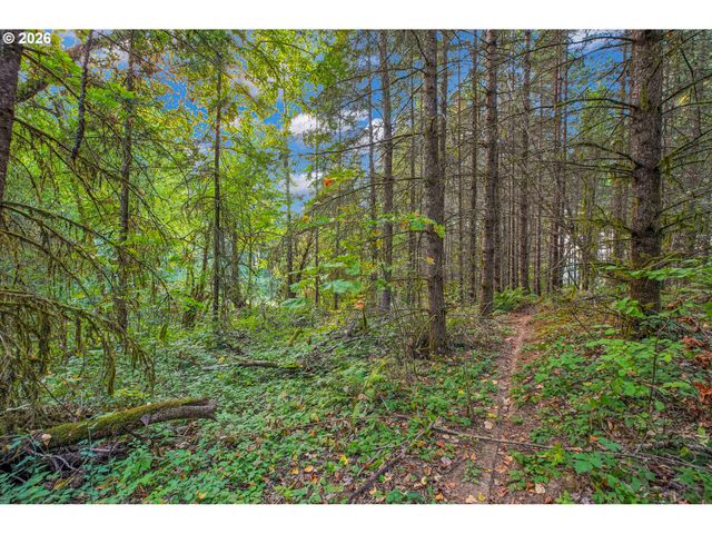 3850 Sw PUMA Dr, Forest Grove, OR 97116