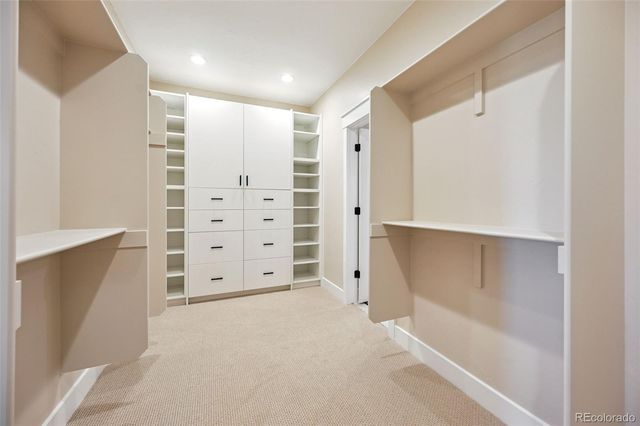 17110 Early Light Drive, Colorado Springs, CO 80908