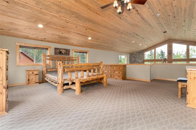 36 Wild Rye Road, Fairplay, CO 80440