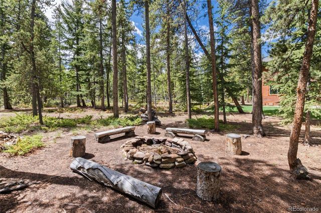 36 Wild Rye Road, Fairplay, CO 80440