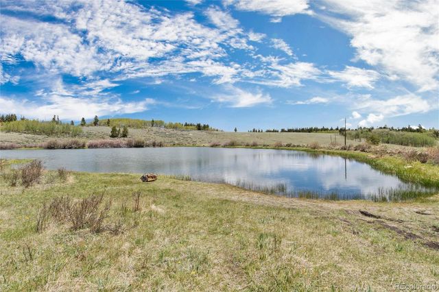 36 Wild Rye Road, Fairplay, CO 80440
