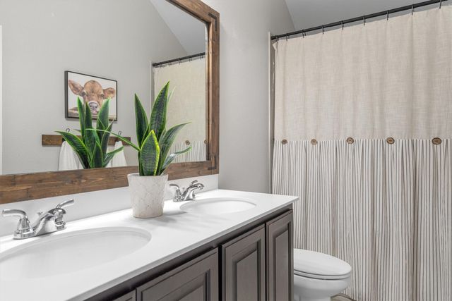 204 Ovaletta Drive, Justin, TX 76247